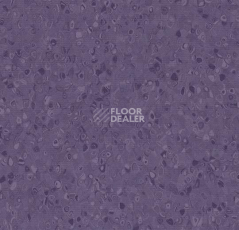 Линолеум Forbo Sphera Element 50035 purple heart фото 1 | FLOORDEALER